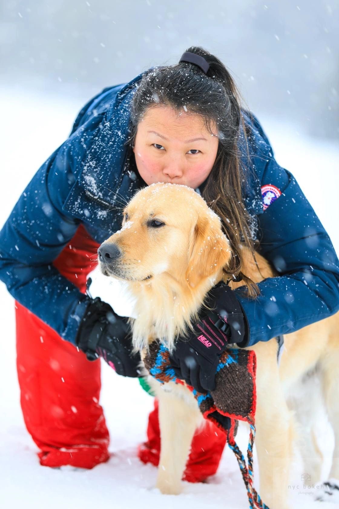 Professional Dog Training in NYC